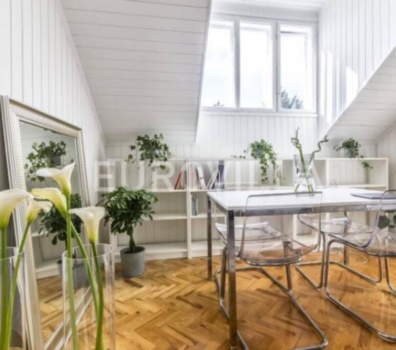 Big, Bright Apartment In The Center Of Zagreb Exterior foto