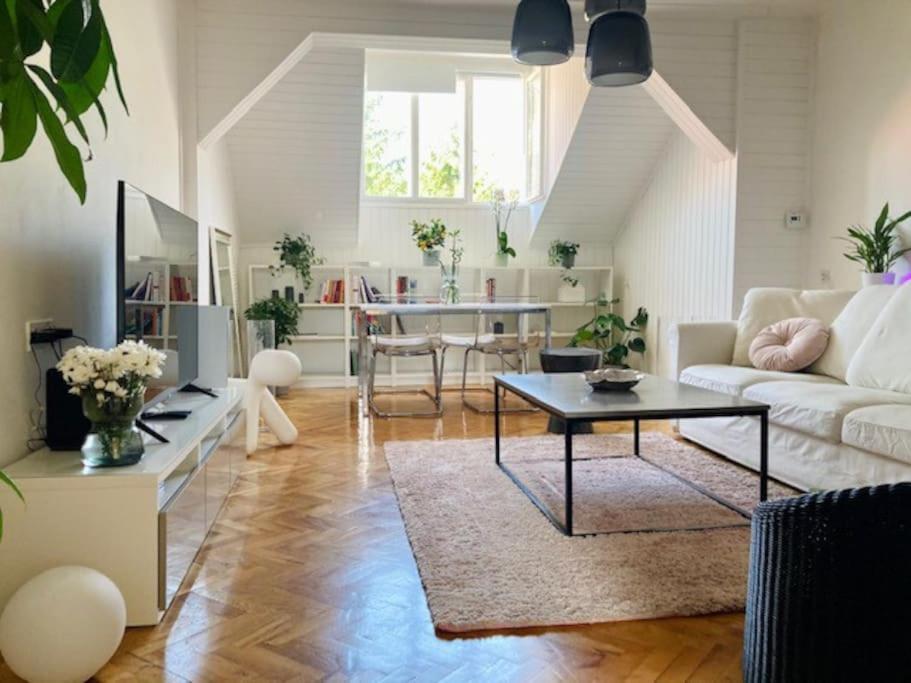 Big, Bright Apartment In The Center Of Zagreb Exterior foto